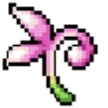 Pink Flower