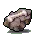 動物古化石