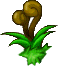魔法森林的植物