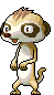 Meercat