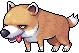 Stray Dog
