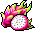 Dragon Fruit